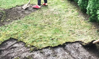 Снятие дерна старого газона в Южноуральске – от 517 руб. | 2Землекопа-Жрк